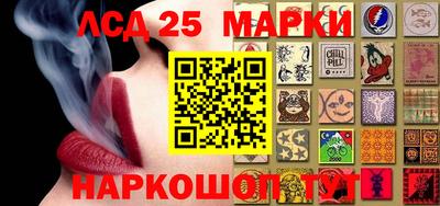a pvp Камышлов