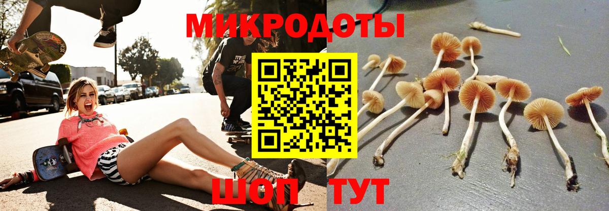 Ленинск-Кузнецкий  где продают   Вход с VPN  Псилоцибиновые грибы MAGIC MUSHROOMS 