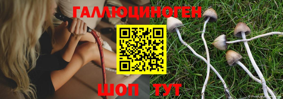 Галлюциногенные грибы MAGIC MUSHROOMS Ленинск-Кузнецкий